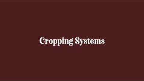 Cropping Systems 2