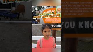 mini zoo di @cimoryindonesia1757 #short #cimory #cepogocheesepark #wisataboyolali