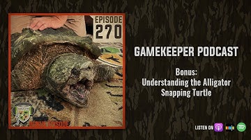 EP:270 | Bonus: Understanding the Alligator Snapping Turtle
