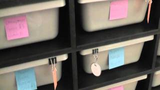 Hatchling Room and some Holdbacks! Net Worth