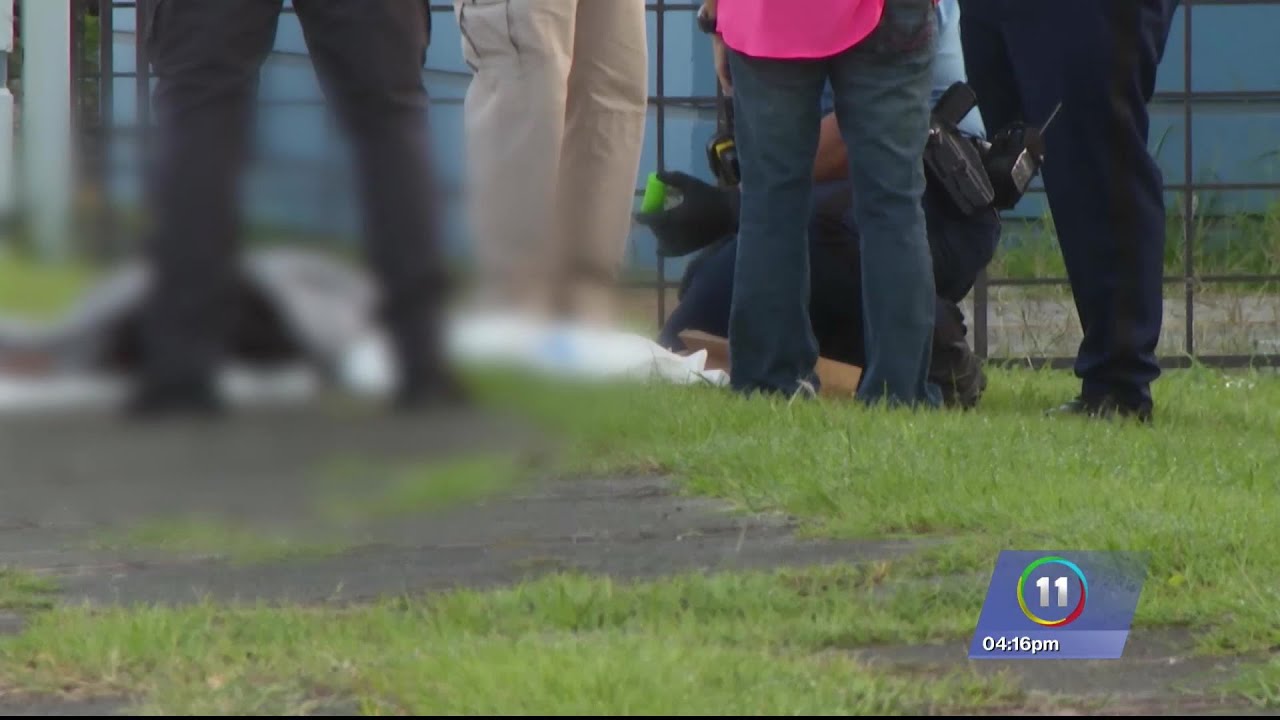 Autoridades indican que peatón que falleció tras accidente habría cruzado por área no autorizada