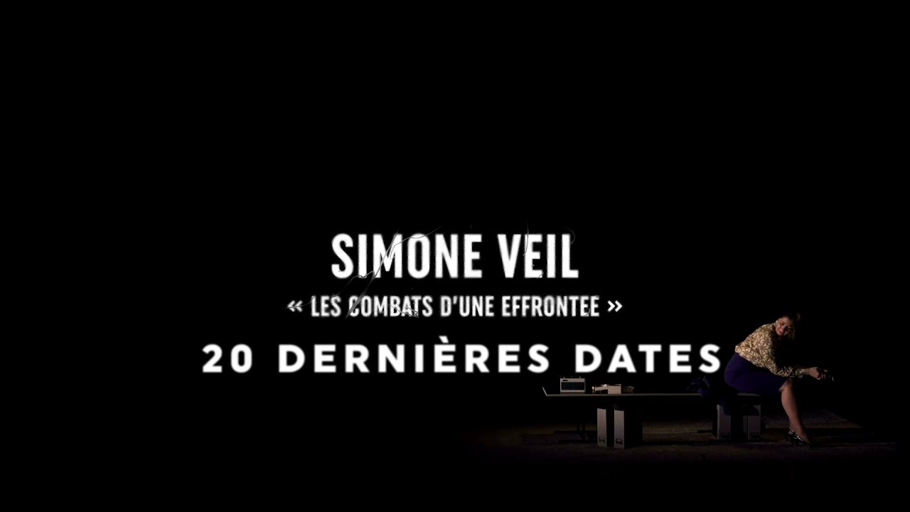 Simone Veil Les Combats D une Effrontée Avis