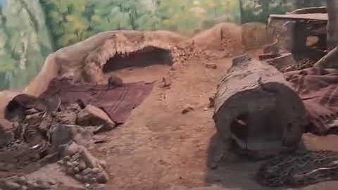 Indian Rat Snake 🐍 Indian Rock Python and Russells Viper 🐍