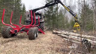 The new Massey Ferguson 5711 m driving out this seasons last firewood