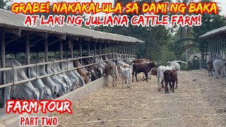 GRABE! NAKAKALULA SA DAMI NG BAKA AT LAKI NG JULIANA CATTLE FARM | FARM TOUR | SOLLE'S GANDANG BUHAY