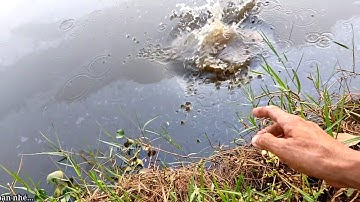 Câu cá một ngày vất vả (video 11)3ruong