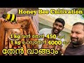 Honey Bee Cultivation | 3 ഏക്കറിൽ 120 കൂട് ഉള്ള തേനീച്ച ഫാം| 1 Box 35 Kg Honey