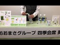 火曜サプライズで杉咲花&橋本環奈&ヒロミが飲んだ! 桑の葉茶の作り方