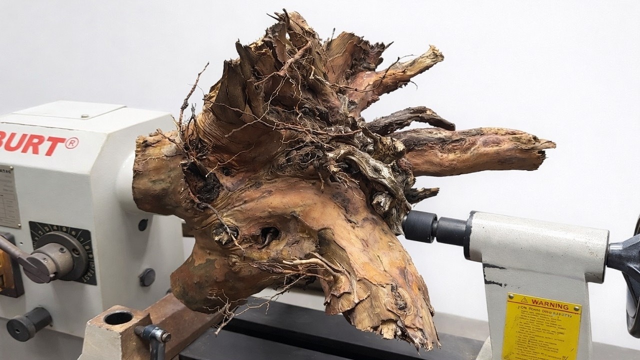 From Forest Waste to High End Decor An Amazing Epoxy Woodworking Journey