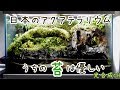 日本のアクアテラリウム　最大のメンテナンス！！管理が難しい…