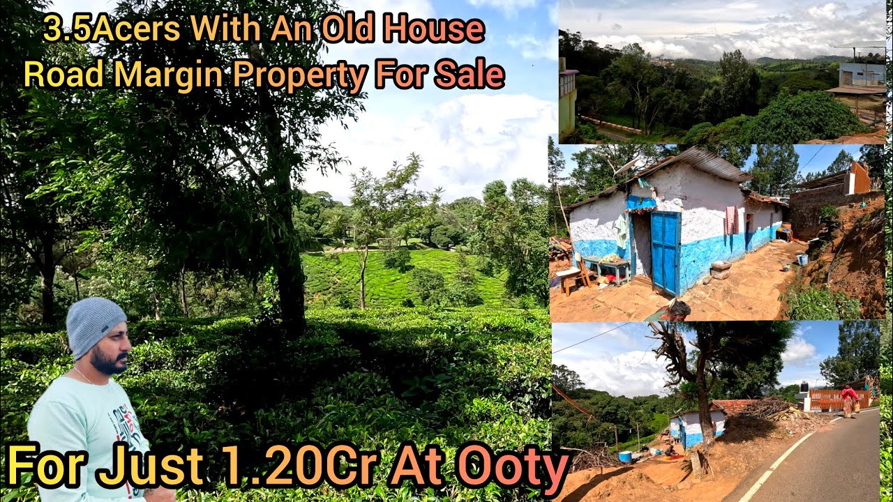 house for sale with 3.5acers tea estate for sale at ooty/property #36/ooty properties/best deal