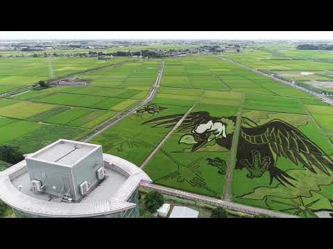 【早割り実施中】ブライダル撮影からYouTube動画制作まで幅広く撮影をします。