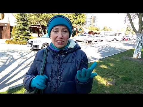 Какие выбрать процедуры в санатории