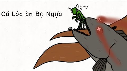 Cá Lóc ăn Bọ Ngựa (Snakehead Fish Eating Praying Mantis) #côntrùng #cacanh