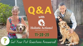 The Balance Method: Stop Chasing Symptoms in Your Pets | 11/29/25 Ask A Vet Q&A