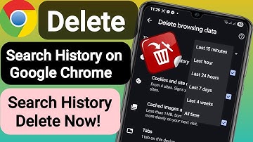 How to Remove Search & Browsing History from Google Chrome (2025)?