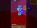 Vendico il mio gatto su Minecraft!