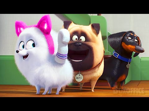 Les Chiens et Chats les plus MIGNONS de Comme des Bêtes 2 🌀 4K
