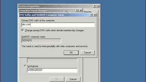 How a DNS Server (Domain Name System) works DNS & Active Directory in Urdu 3/5