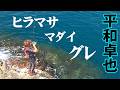 平和卓也が夏磯で狙うヒラマサ！兵庫県でマダイ、グレなど多彩な魚との出会いを楽しむ『磯を駆ける 87』【釣りビジョン】
