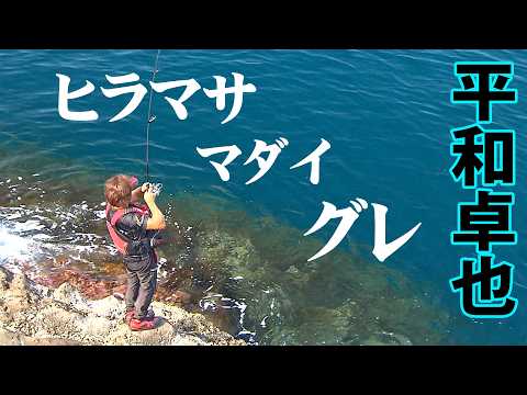 Takuya Hirakawa Targets Kingfish on Summer Rocks! Enjoying Encounters with Red Seabream, Gray Mul...