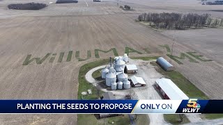 Planting a proposal: Farmer plants 'WILL U MARRY ME' in grain crop