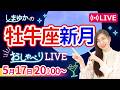 【5月17日牡牛座新月🌑】あなたの前に現れる、運命の扉🚪『しまゆかのおしゃべりLIVE#46』