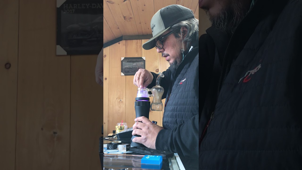 Switch quartz induction cup review