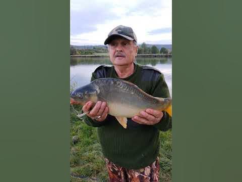 Первый карпик - YouTube