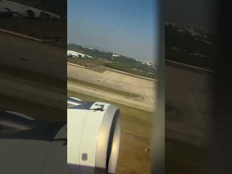 Crazy Grip #lizard #flight #grip #incident