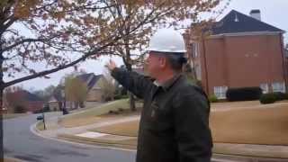 Red Maple Pruning