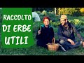 ERBE SPONTANEE COMMESTIBILI: riconoscerle, raccoglierle, moltiplicarle