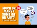 Beginner to Advanced:Much or Many? Some or Any? 15 Grammar Challenges