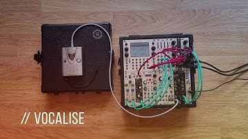 Vocalise // Eurorack Modular Synthesizer + Voice & Tape Recorder // Batumi, Telharmonic, Pico DSP