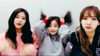 Twices Nayeon, Jihyo, And Tzuyu Talked About Hair Growth During Their Latest Live Broadcast.