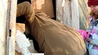 Собаки голодали в закрытом доме / Новости Собаки голодали в закрытом доме / Новости