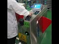 Electrostatic discharge system flap barrier gate