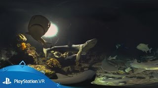 Cocos: Shark Island | Launch Trailer | PlayStation VR screenshot 4