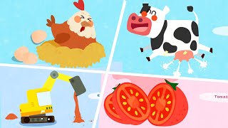 Baby Panda's Learning Cards | Help Children Recognize Daily Use Items | Babybus Games Video screenshot 5