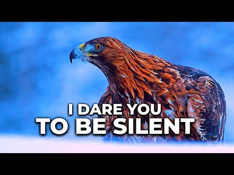 Video: Watter toespraak is stil?