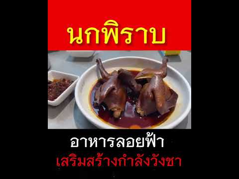 เมนูเด็ด! อร่อยเหนือฟ้า “นกพิราบ” คนจีนเชื่อว่า “ทานแล้วเสริมสร้างกำลังวังชา”