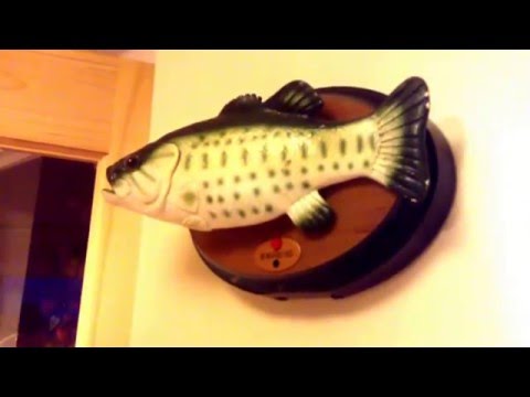 Смотреть клип Singing and dancing fish онлайн бесплатно в качестве Смотреть клип Singing and dancing fish онлайн бесплатно в качестве