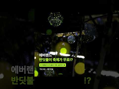 실제 반딧불이 무료 직관 기회 ㄷㄷ｜#shorts #<strong>에버랜드</strong> #반딧불이