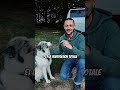 Tu connais ce moment où tu tombes sur un spot de bivouac incroyable… #vanlife #roadtrip #campervan