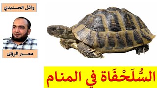 تفسير حلم السلحفاة في المنام / السلاحف في الحلم/ للمفسر: وائل الحديدي