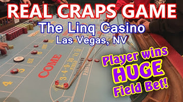 HUGE FIELD BET WIN! - Live Craps Game #25 - The Linq, Las Vegas, NV - Inside the Casino