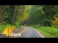 4K Fall Scenic Drive through Autumn Forest with Music - Autumn Road - Episode #3