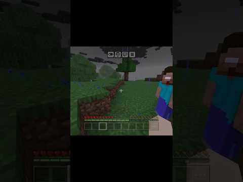 Minecraft unbelievable impossible landern seed in entity ☠️