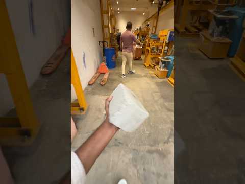 Fly Ash Brick Machine 🔥 कम कीमत में हाई प्रॉफ़िट बिज़नेस | ishra devi | New business ideas |