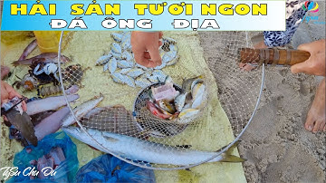 Ngon Lạ CHỢ HẢI SẢN ĐÁ ÔNG ĐỊA Phan Thiết Mũi Né